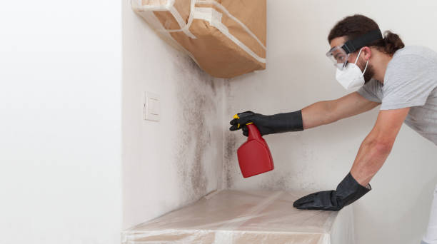 Professional Attic Mold Remediation technician working in Columbia, IL