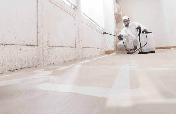 24/7 Emergency Attic Mold Remediation experts in Columbia, IL